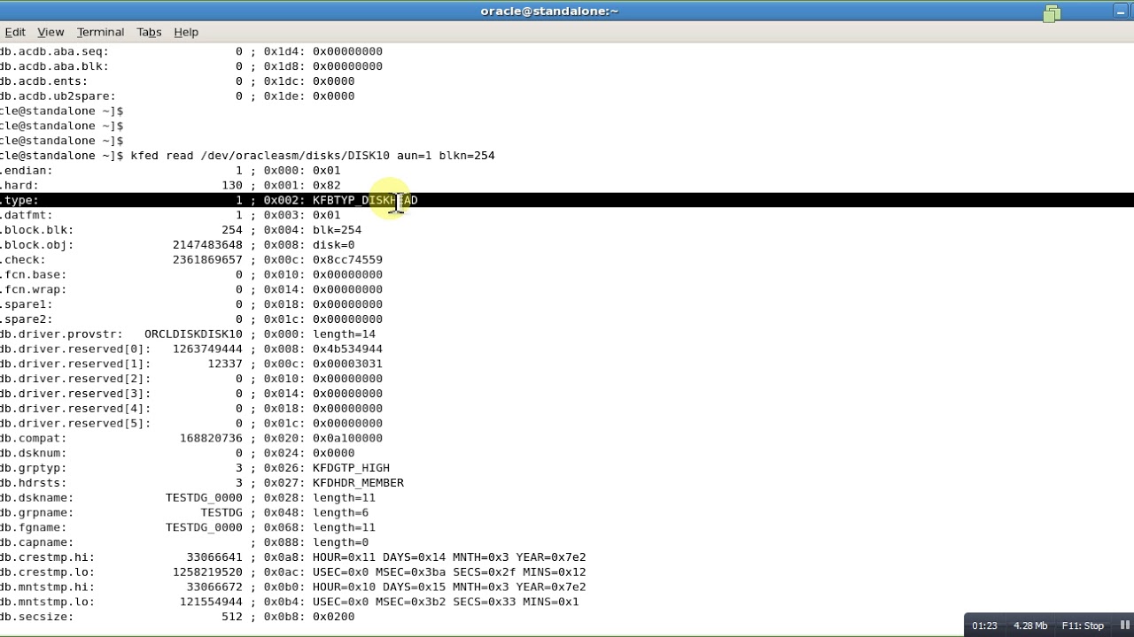 ASM Disk Header -2