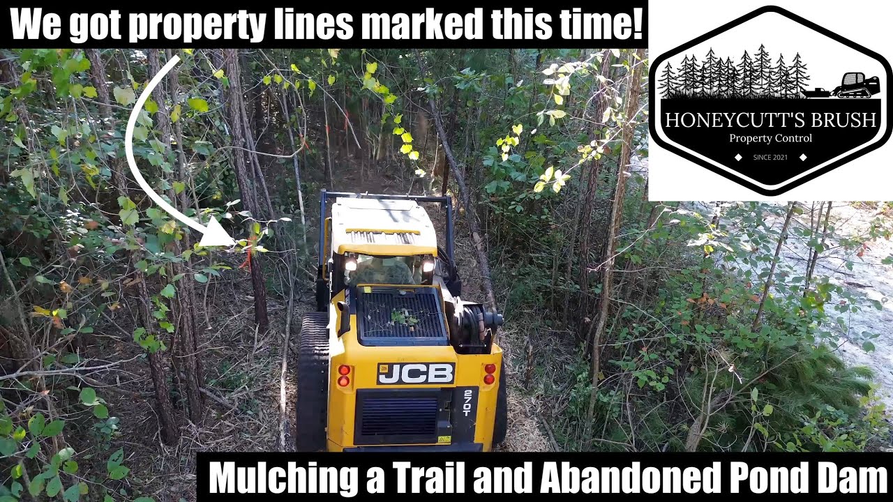 STAYING ON THE PROPERTY LINE. Mulching a Trail and Cleaning up an Abandoned Pond Dam