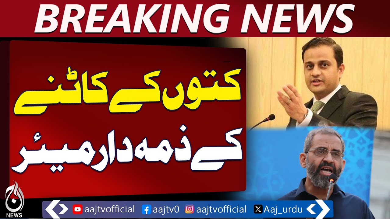 Karachi Dog Bites Surge | Mayor, Murtaza Wahab Statements | Public Safety Concerns - Aaj News