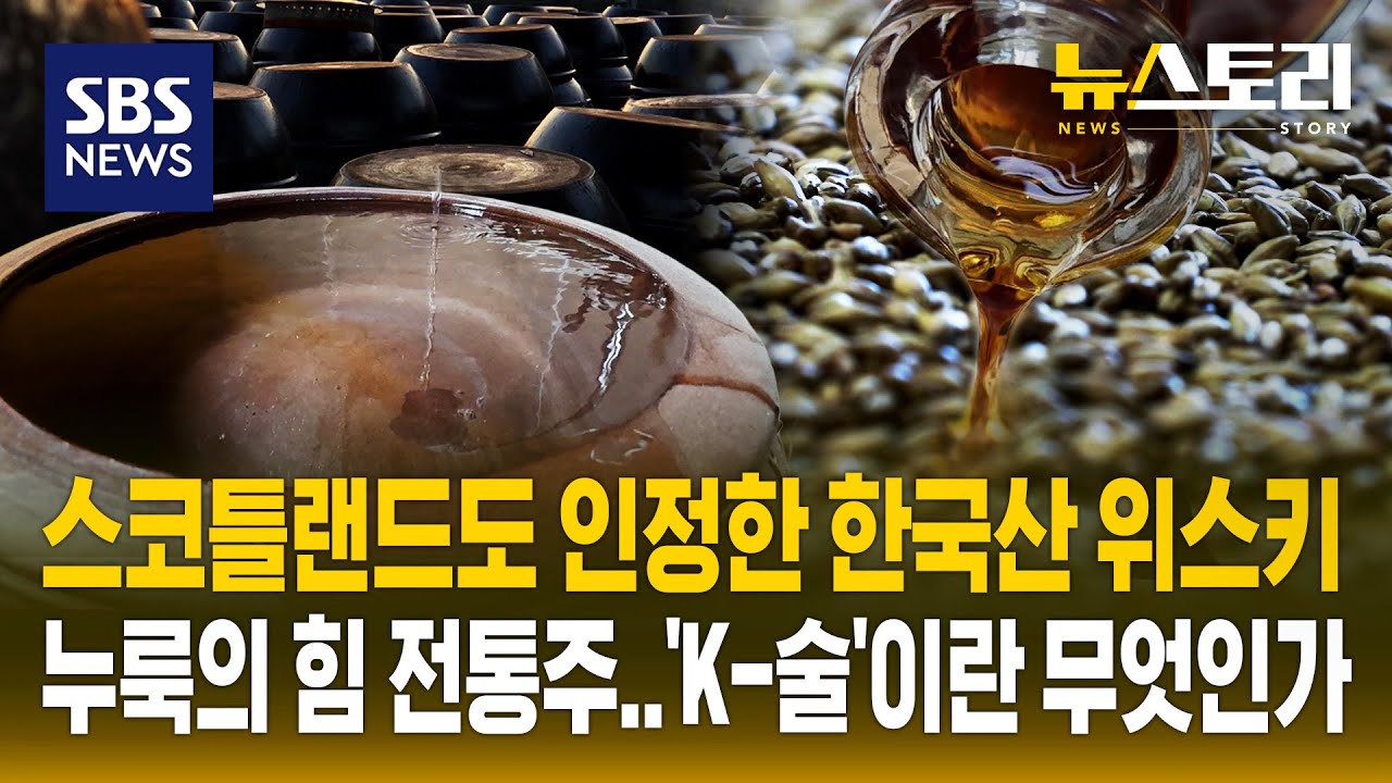 이거 보다가 취했으.ㅇ.ㅏㄱ... (술술 넘어가는 K-술 이야기) | SBS 뉴스토리