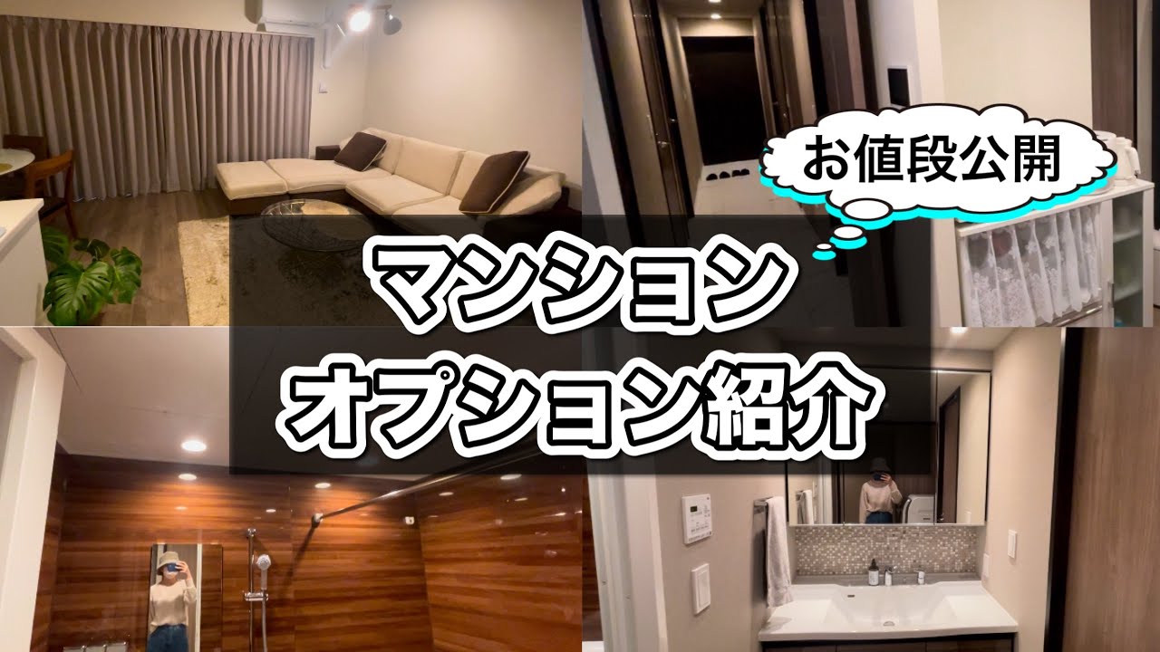 【夫婦2人暮らし】新築分譲マンションオプション金額/オプション4選/節約で諦めたオプション【2LDK】