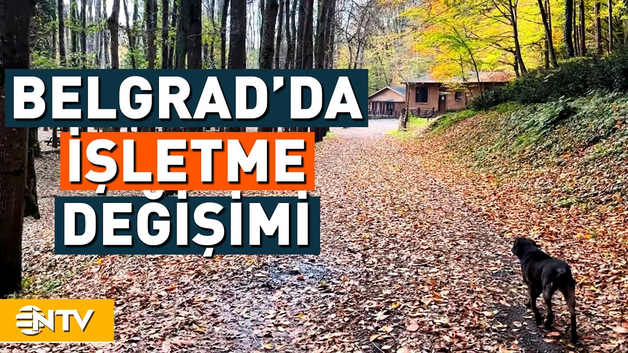 Belgrad Ormanı'nda İşletmenin Değişmesi Ne Anlama Geliyor? | NTV