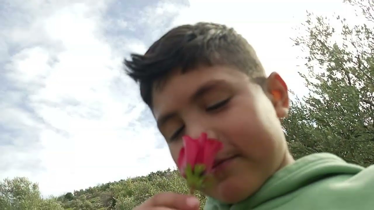 ٦ فبراير ٢٠٢٦
