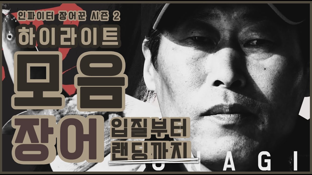 [FTV한국낚시채널] 인파이터 장어꾼 시즌2, 하이라이트 모음, 장어 입질부터 랜딩, 장어낚시, eel, eel fishing