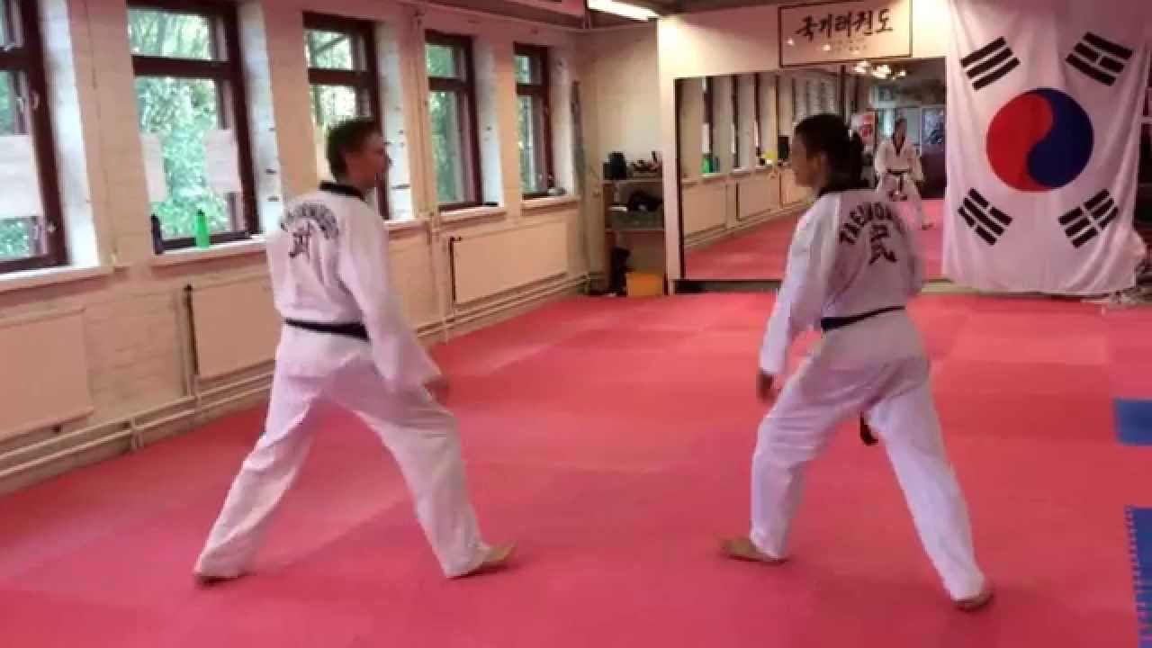 Herttoniemen Taekwondo: Seuraesittely