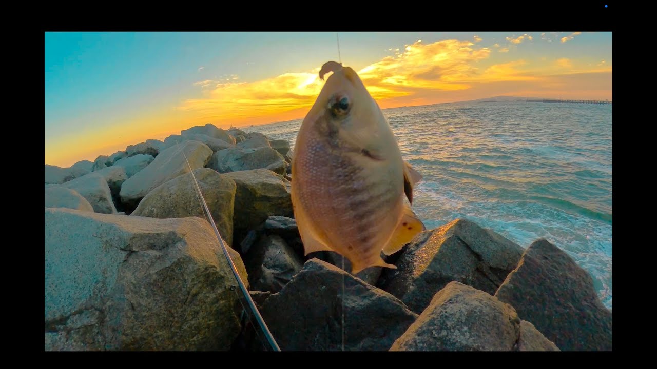 Тяжёлый день рыбалки на причале Seal Beach Jetty