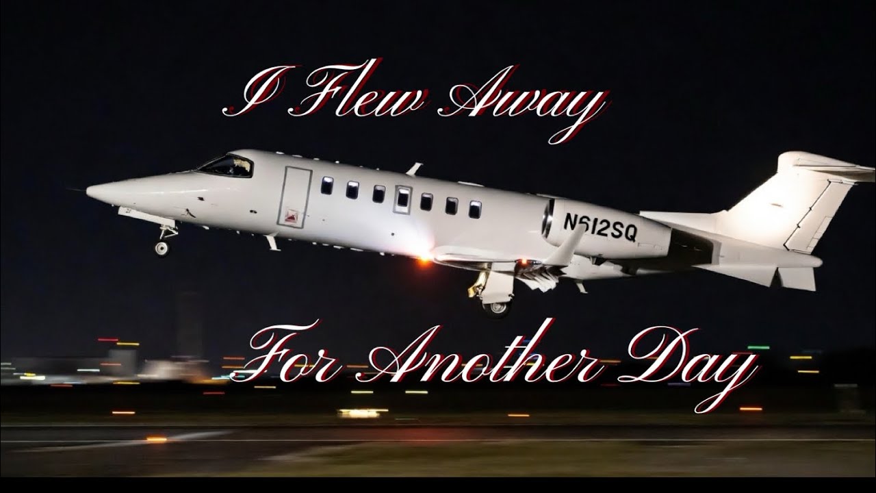 Flew Away For Another Day