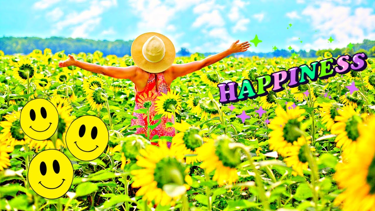 HOW TO BE HAPPY IN LIFE (2021). #SHORTS