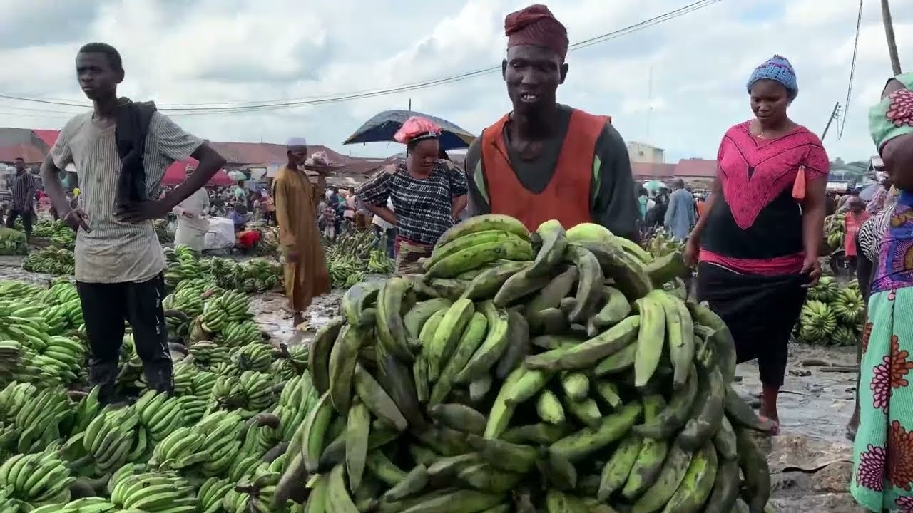 African Food Market || The Biggest Plantain & Fruits Market