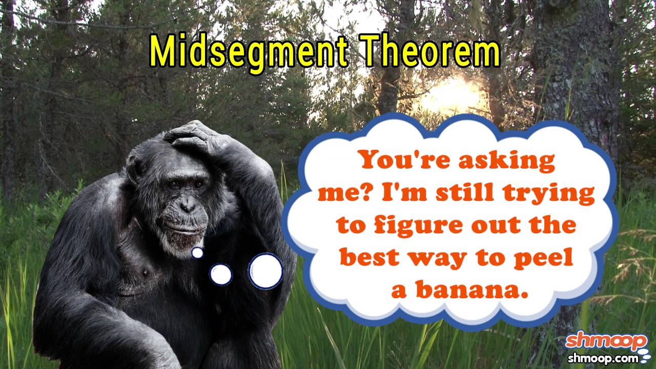Math Basics: Midsegment Theorem
