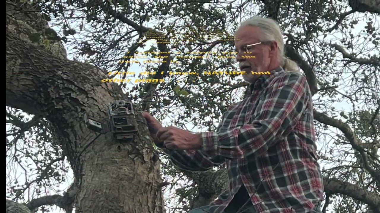 SLO County Creatures OWL BOX II
