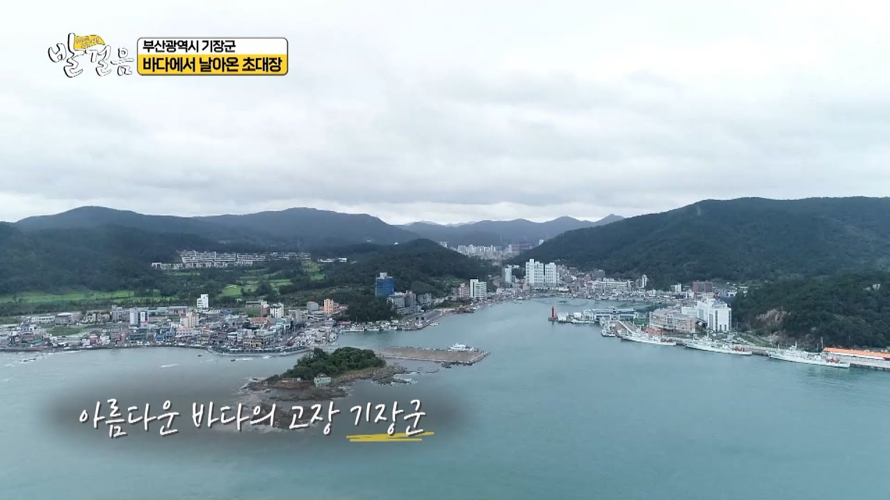 [Go! Go! 오감여행 발걸음_29회] 자연속 힐링명소부터 첨단과학을 만나는 곳 '부산시 기장군'