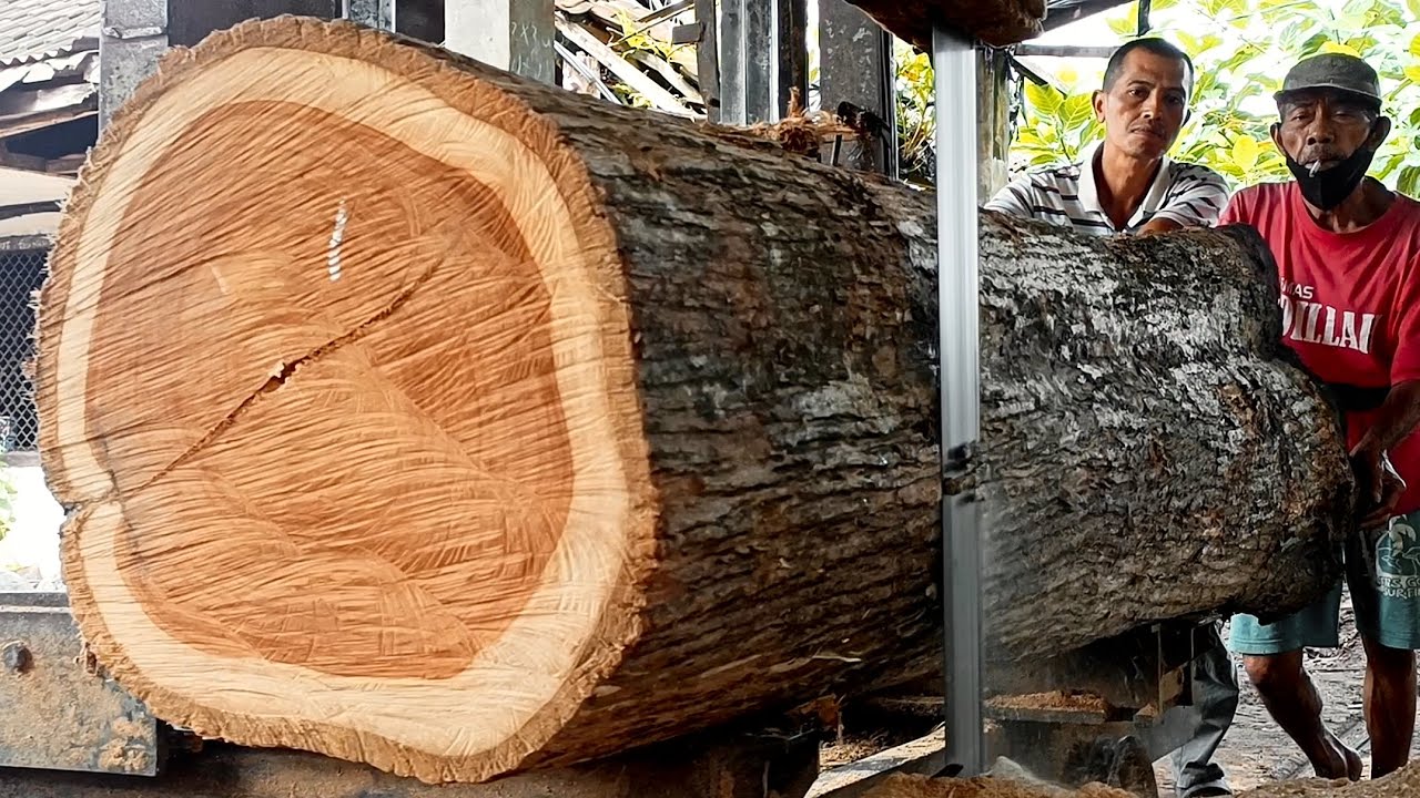 Beautiful rural craftsmanship in sawmilling || splitting large teak wood