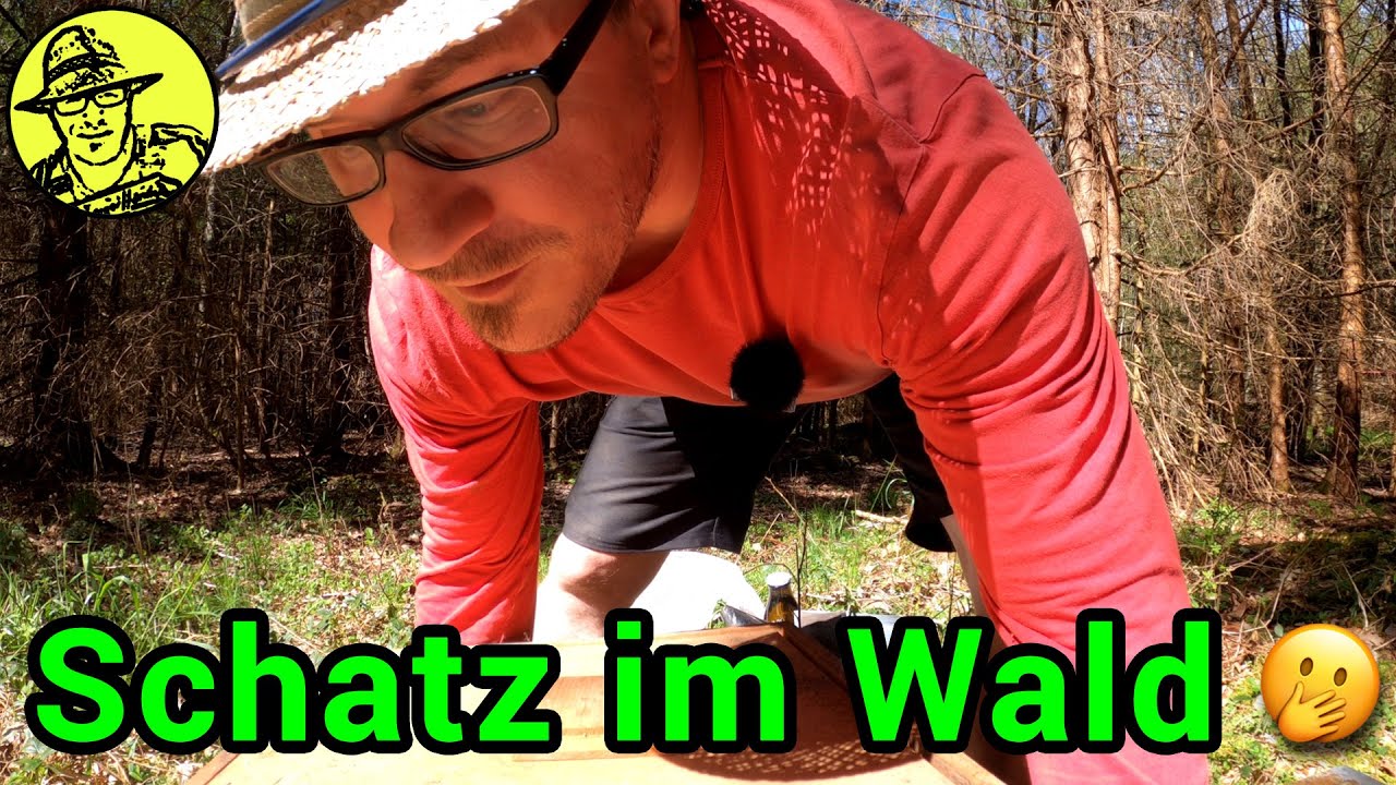 Der Schatz muss in den Wald. Altköniginnenableger gegen den Schwarmtrieb
