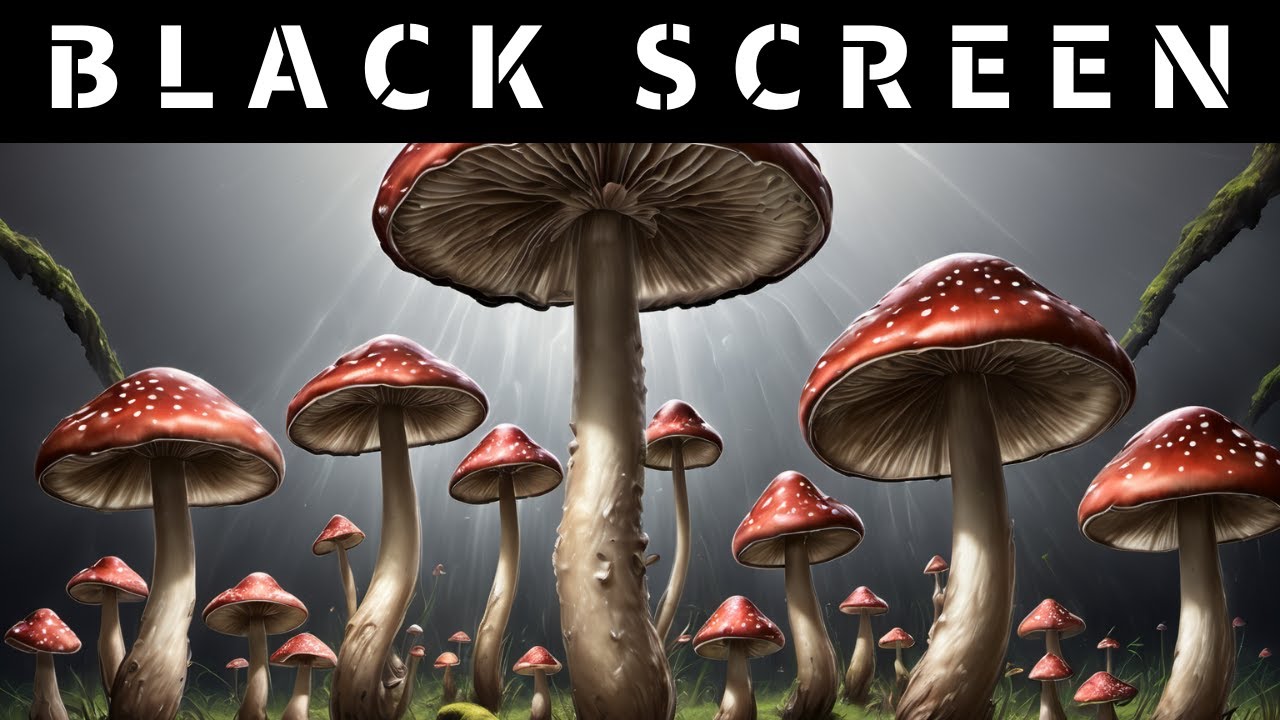 Induce Hypnagogia ｜ Binaural Beats Sleep Music for Inducing Hypnagogic Imagery & Dreamstates