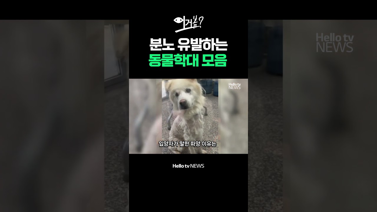 분노 유발하는 동물학대 모음ㅣ#shorts #헬로tv뉴스