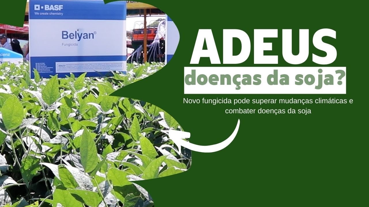 Novo fungicida pode superar mudanças climáticas e combater doenças da soja