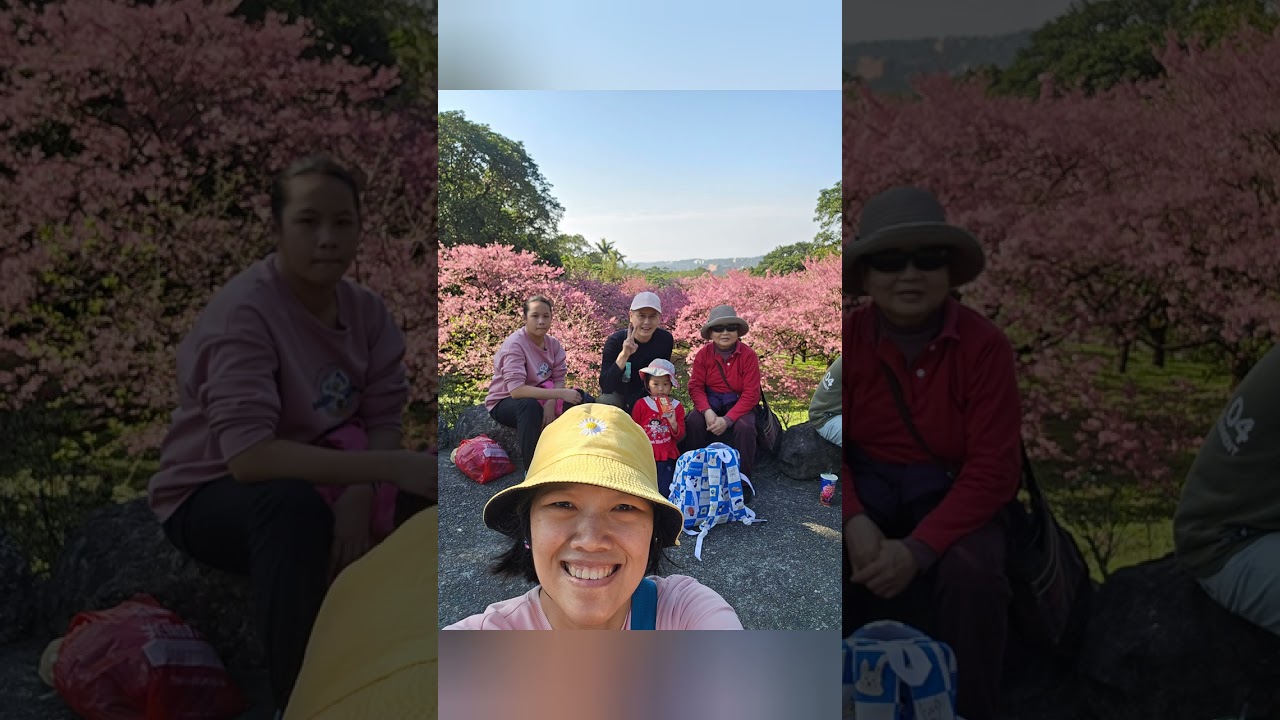 Taman bunga sakura di dien yuen temple