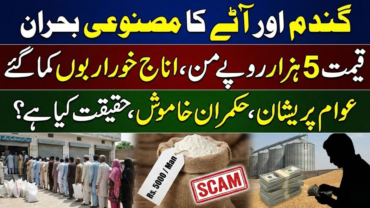 Breaking News: Wheat Crisis Exposed | Flour at Record Prices, Grain Mafia Earns Billions