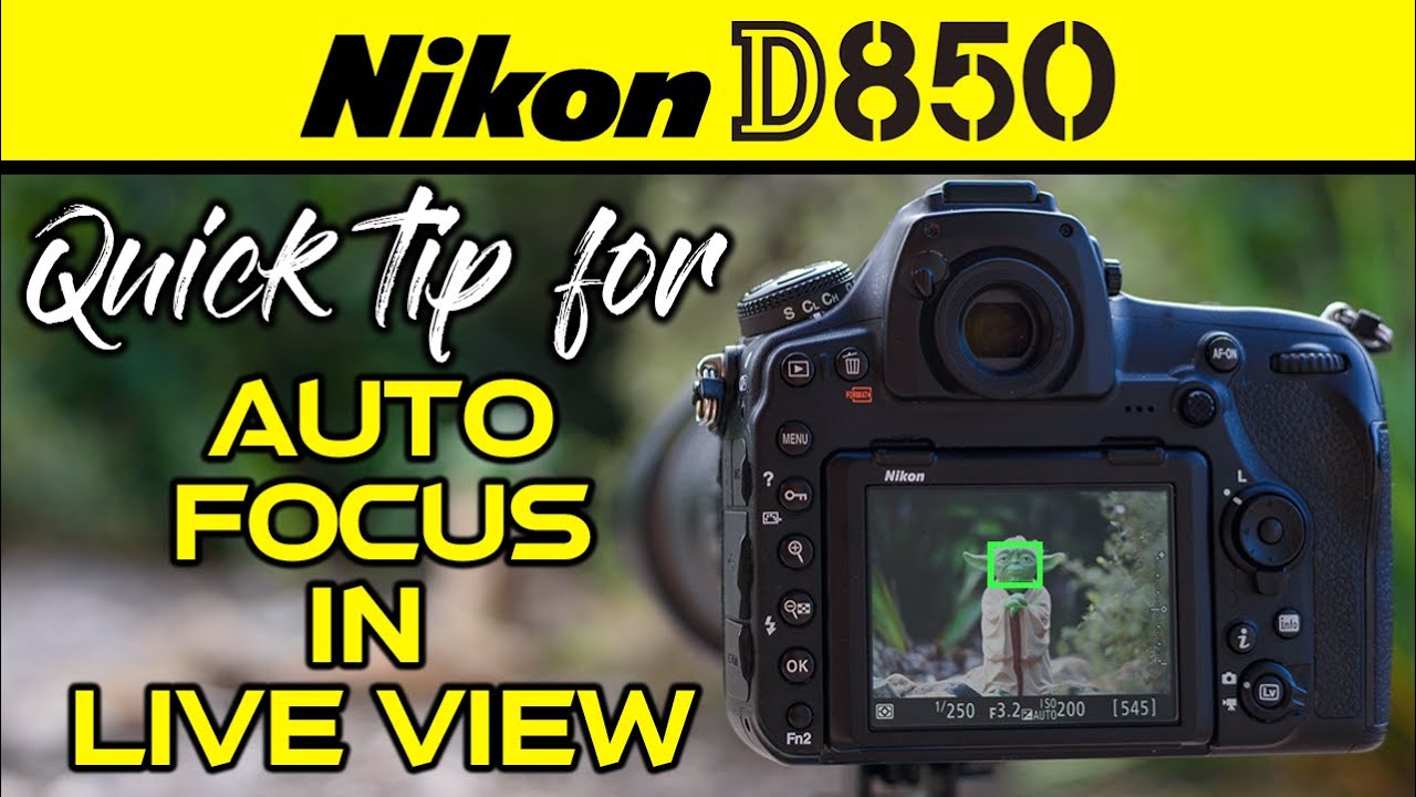 Nikon D850 | Краткий совет по автофокусировке в режиме Live View