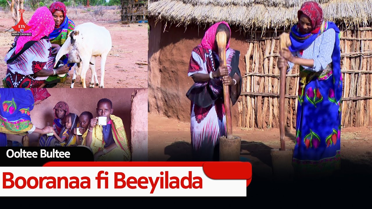Booranaa fi Beeyilada etv |Ebc  |Etv Afaan Oromoo| oduu Etv Afaan Oromoo |Ethiopia