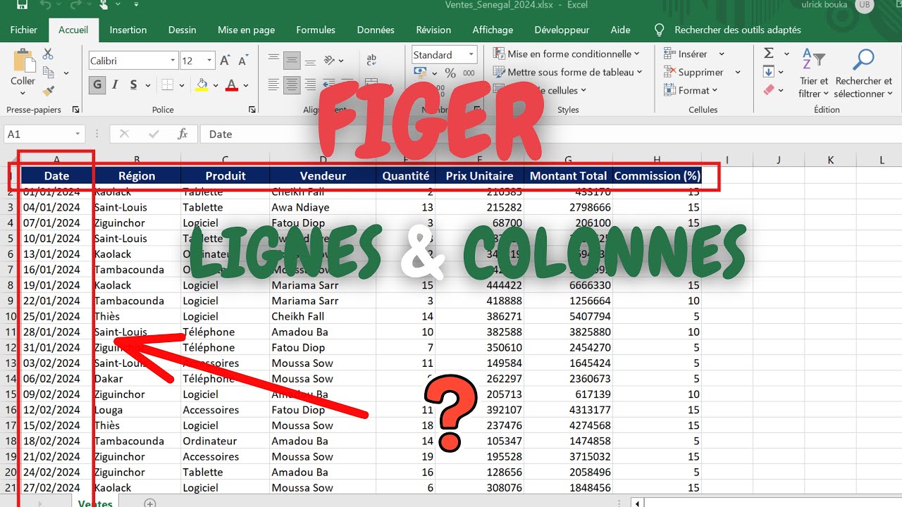 Comment FIGER les Lignes et Colonnes dans Excel | Tutoriel Débutant