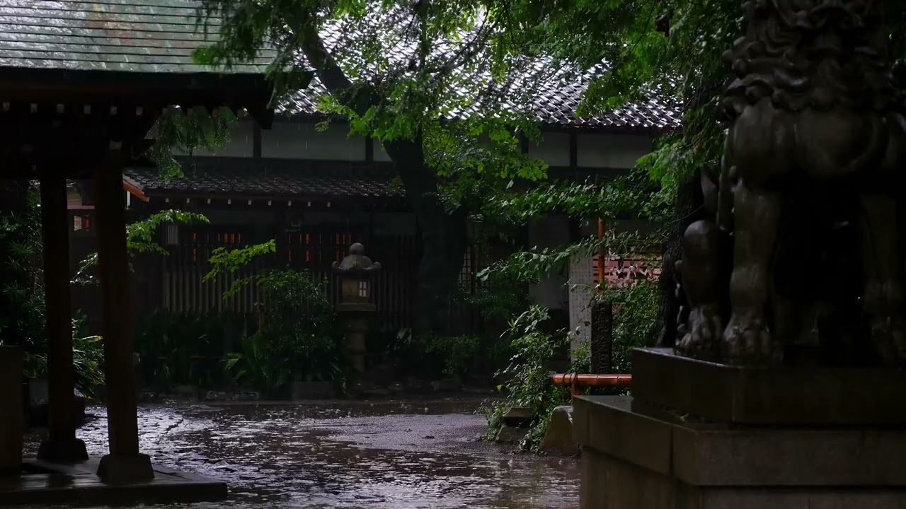 Heavy Rain Sounds 8 Hours 💤 Fall Asleep Fast