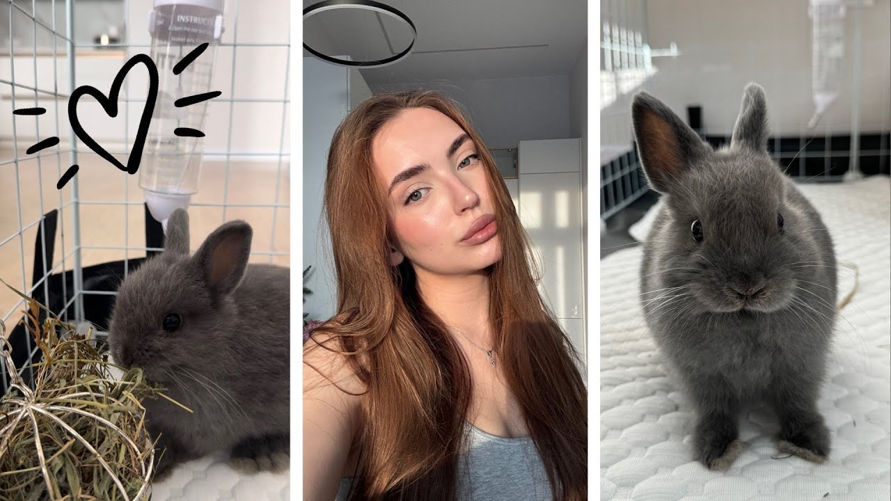 мой кролик🐰все об уходе, необходимых покупках и питании