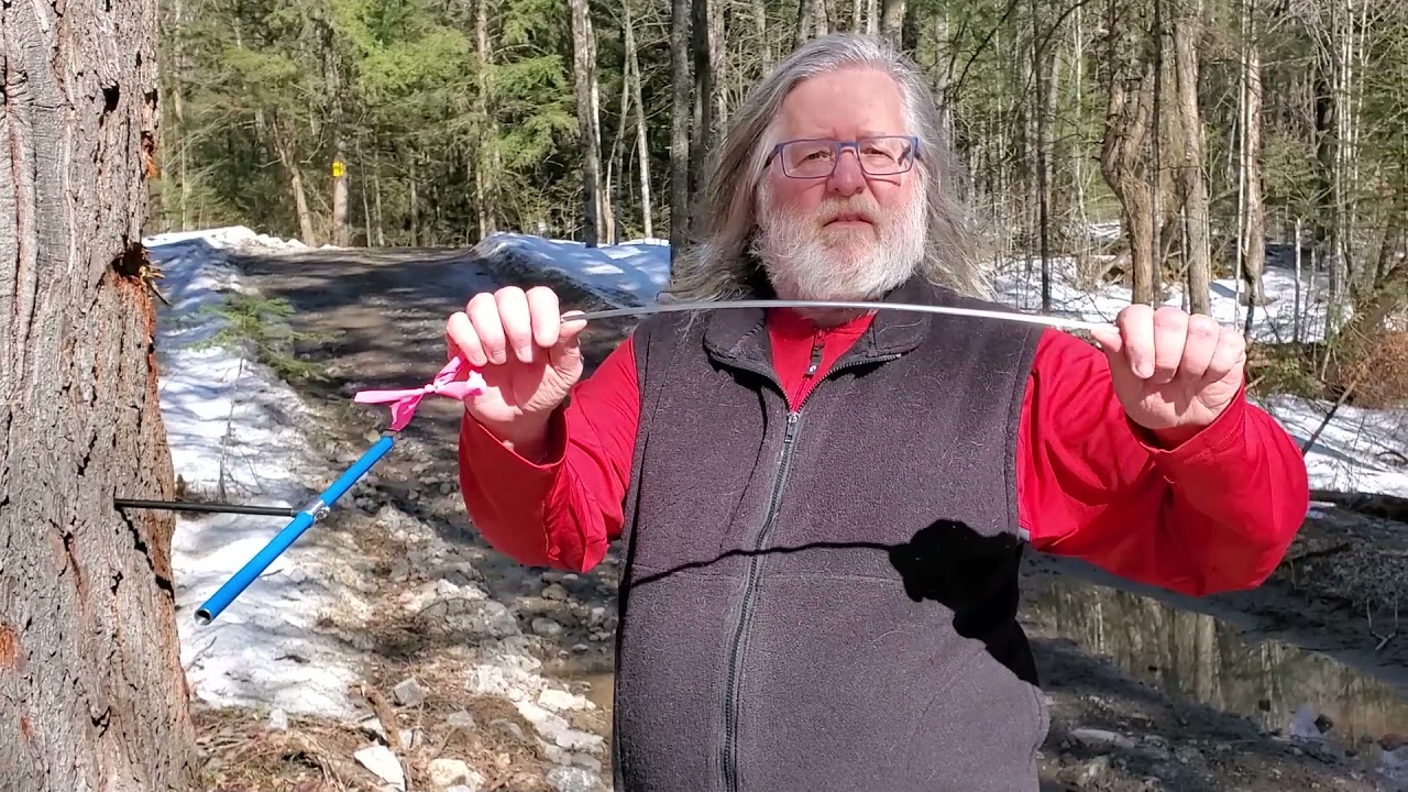Catchacoma increment borer training video