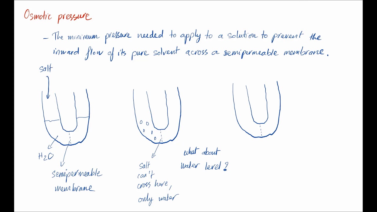 Colligative properties: vapour and osmotic pressure | Intermolecular Forces | meriSTEM