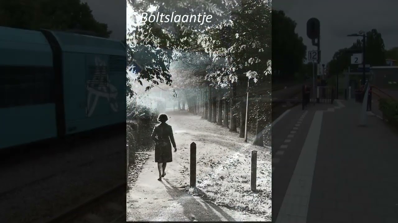 zuidhorn vroeger en nu deel 3