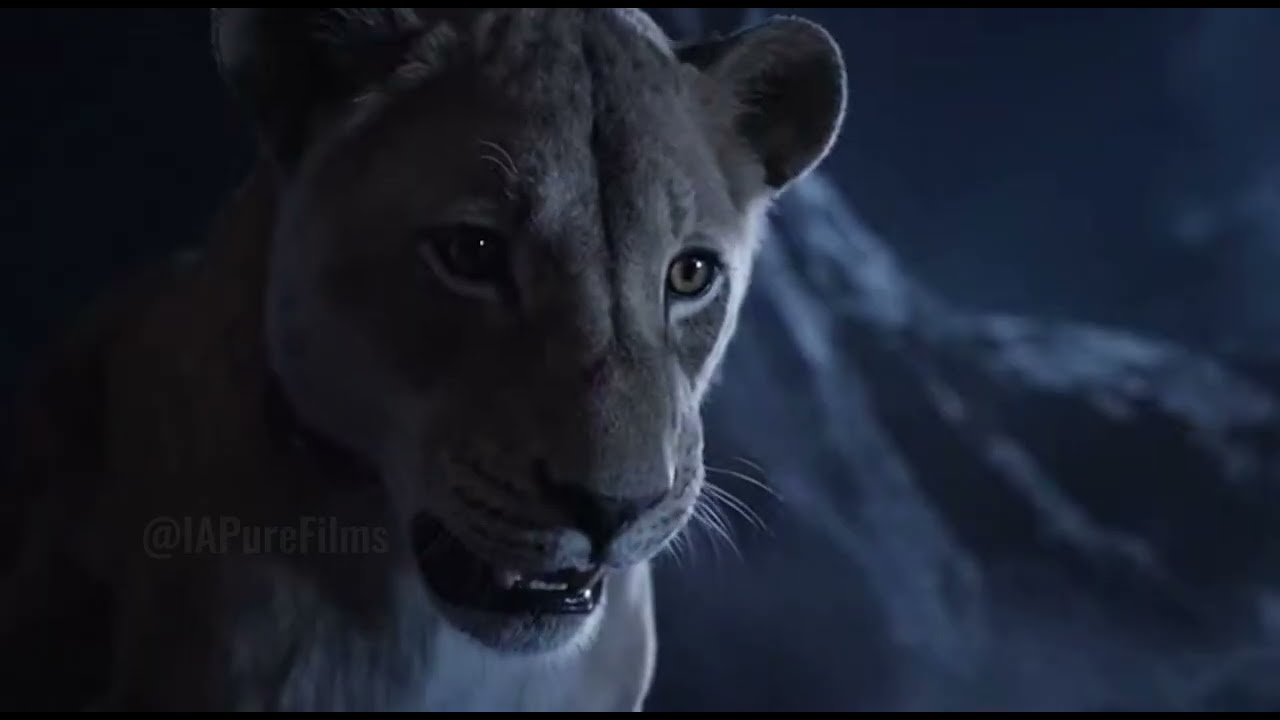 The Lioness &mdash; A Mother&rsquo;s War in the Wild