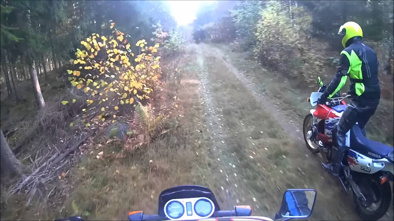Suzuki Dr 800 S & Africa Twin.