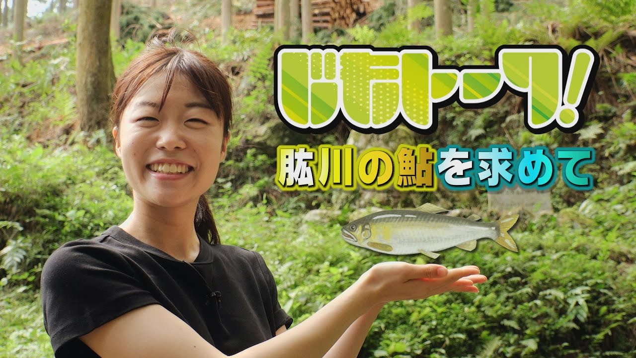 じもトーク！～ずっとこのまちで～　肱川の鮎を求めて
