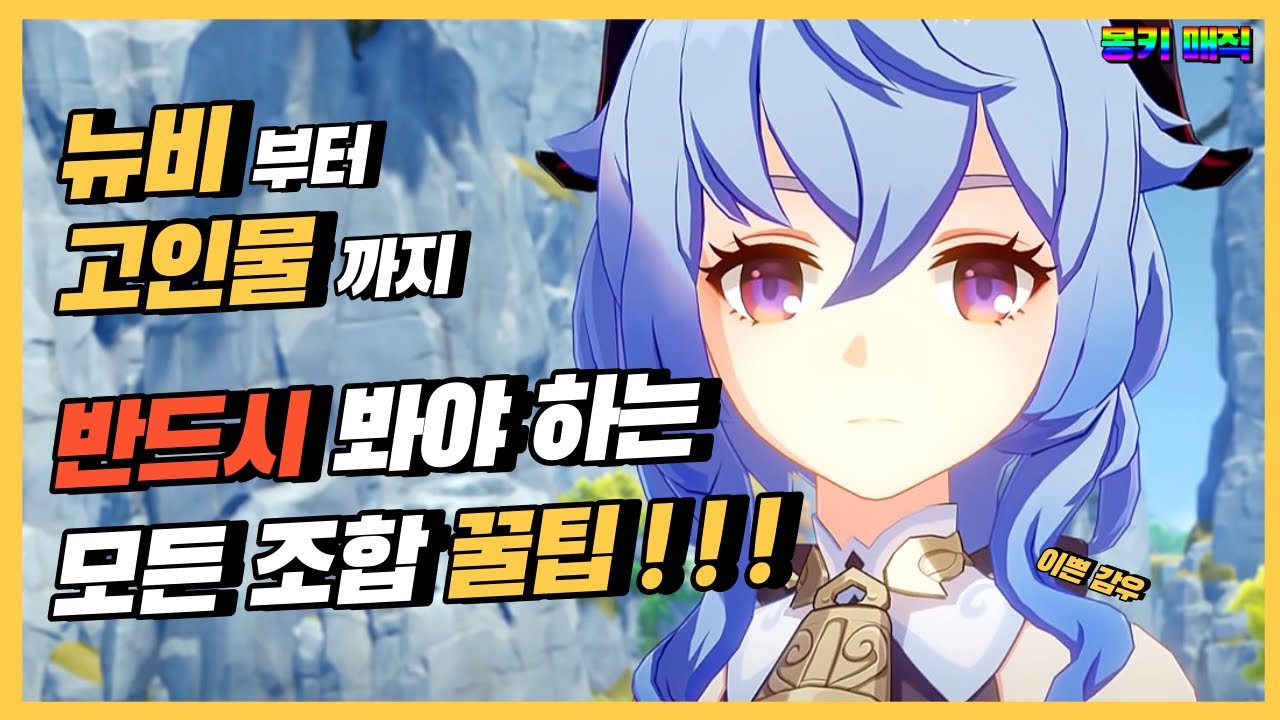 솔직히 조합은 이 영상 하나면 끝인듯 [원신]