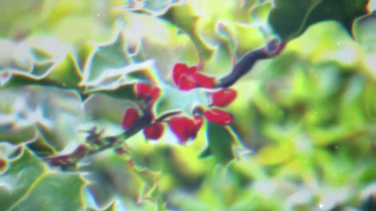 Hip Hop x Alt R&B Type Beat - Mistletoe