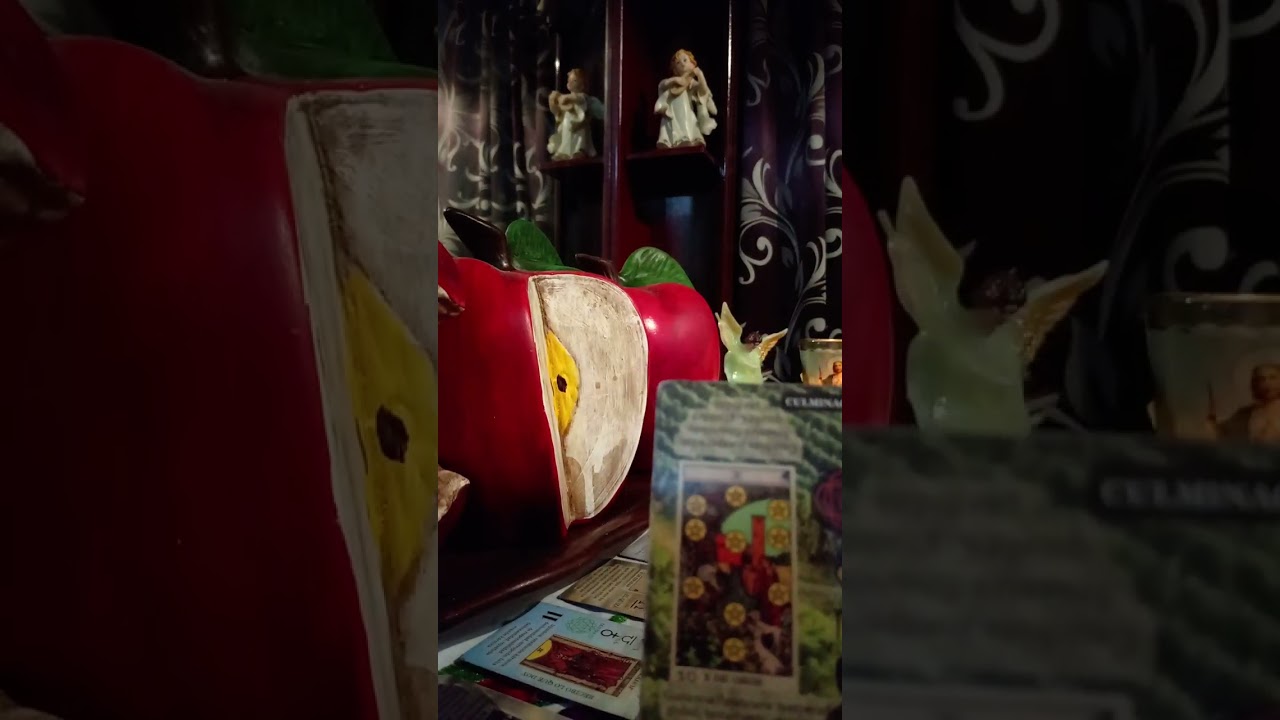 TU EX🤣🤣NO QUIERE 🤐QUE TE ENTERES🤡DE QUIEN ES EL HIJO 😇QUE ESPERA LA KARMICA🤣😎🤱
