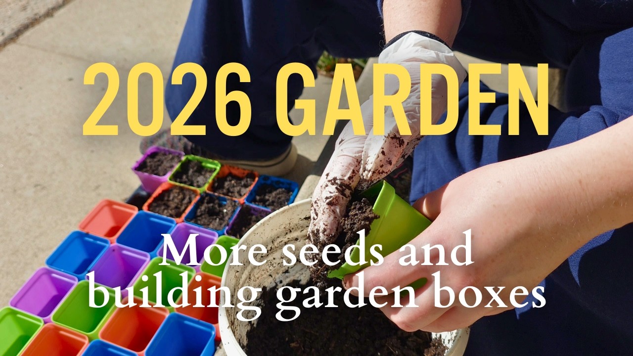 Starting Seeds and Messing Up My Plans to Build Garden Boxes