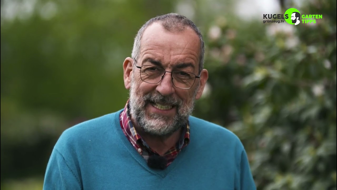 Dickmaulrüssler im Garten - was tun ?  Gartentipps von Volker Kugel - www.grünzeug.tv