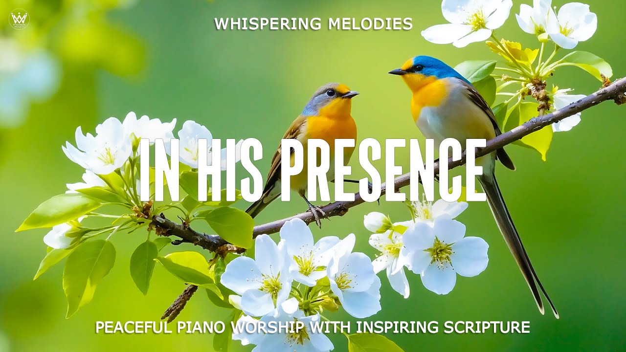 IN HIS PRESENCE | Peaceful Moring Piano Prayer Music With Scriptures & Beautiful Nature Scenes