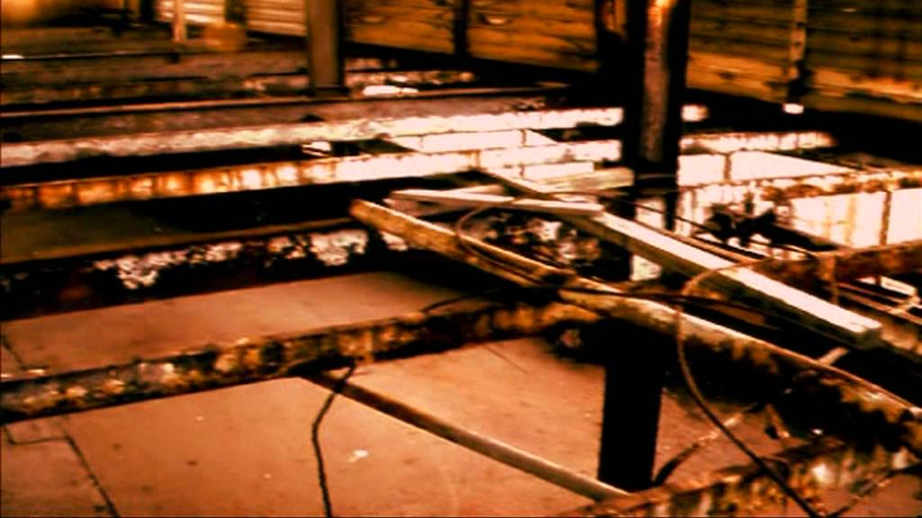 Raison D'Etre @ Cold Meat Industry Live In Australia (2006)
