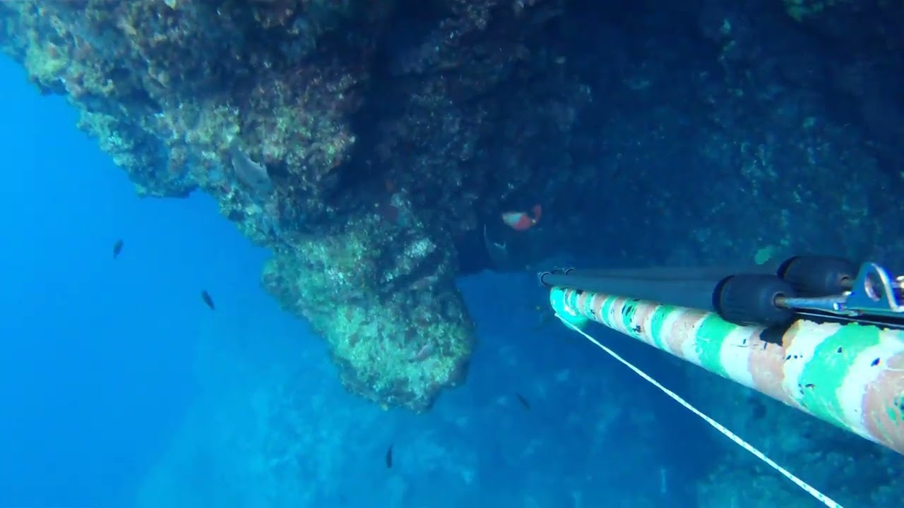 spearfishing sallow water Greece ψαροντουφεκο παλαιότερη εξόρμηση για να μην ξεχνάμε αφιερωμένη