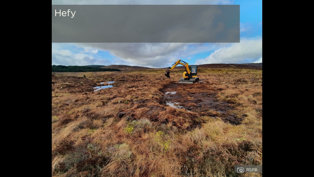 Gwaith adfer mawndir ar Stad Llyn Efyrnwy gan yr RSPB
