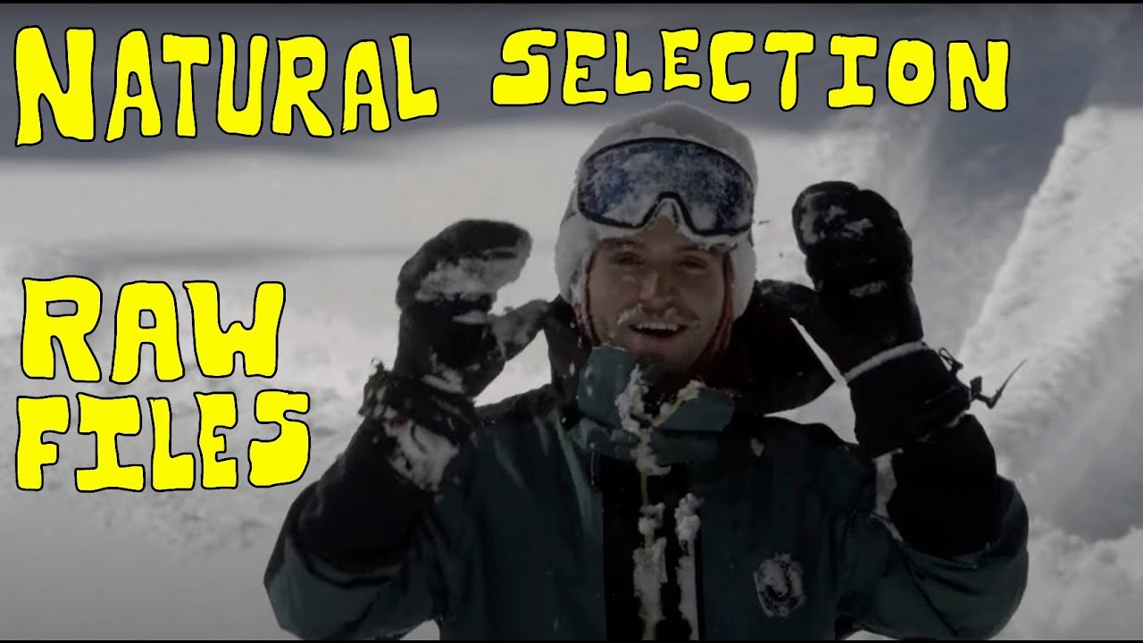 Natural Selection Raw Files