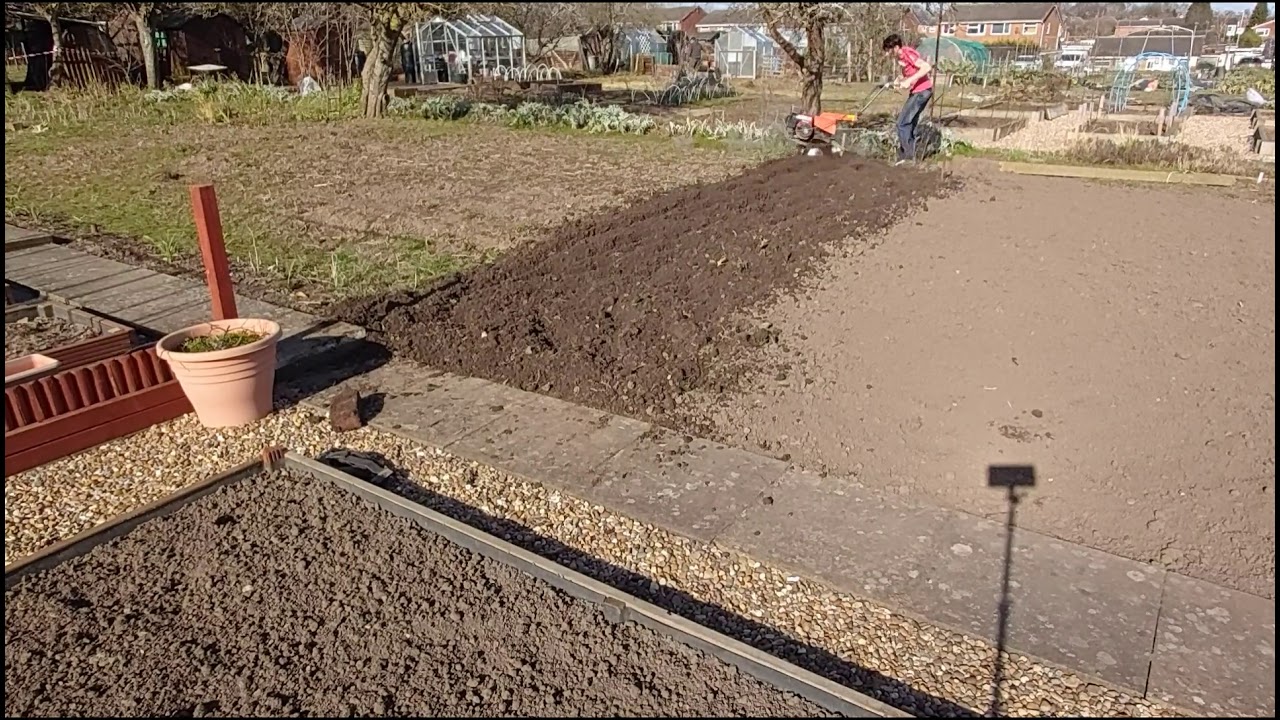 Allotment progress Rotavating