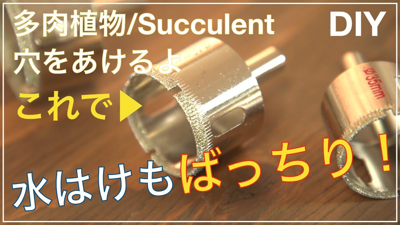 【DIY】カップに底穴をあけて多肉植物を植えよう！ダイヤモンドホールソーでカップとガラス瓶に底穴をあけます！