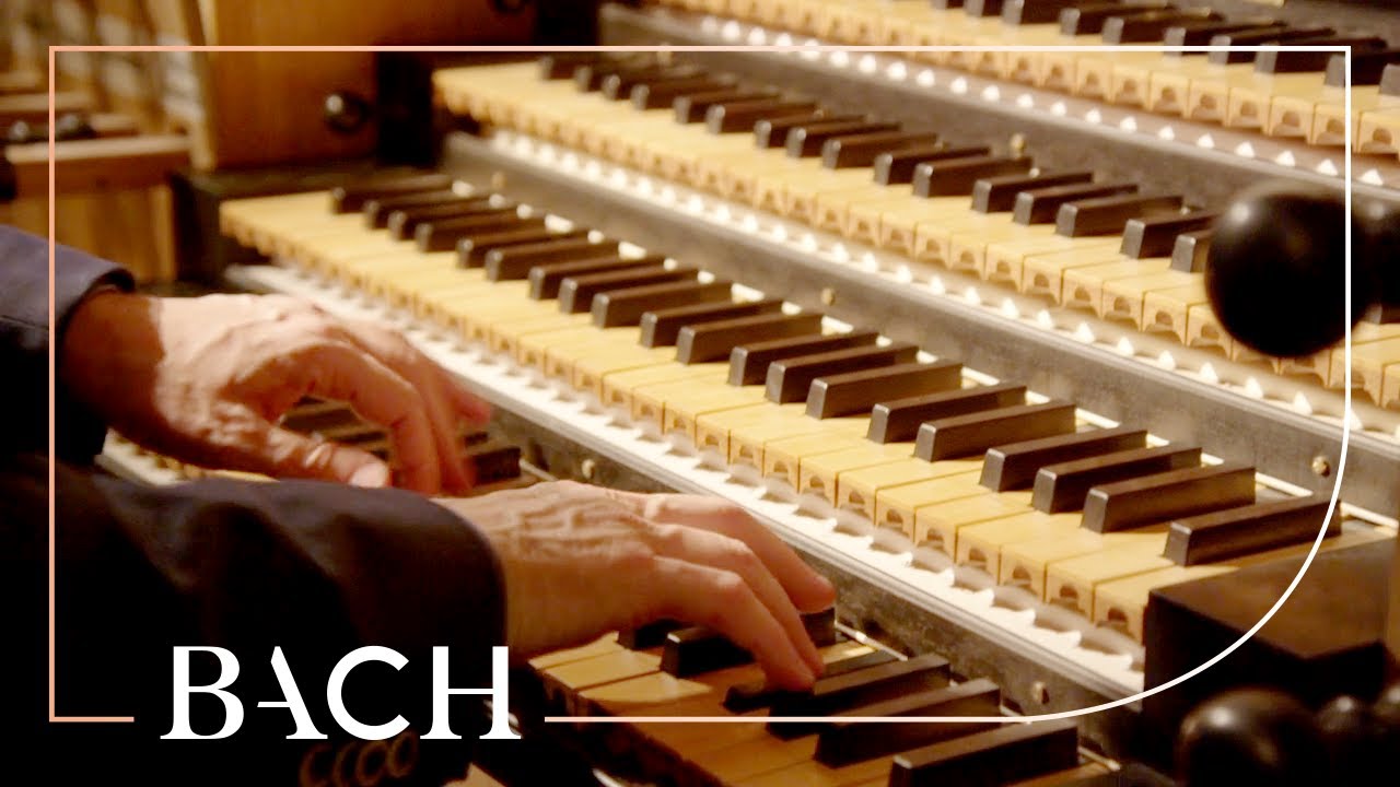 Bach - Concerto in D minor BWV 596 - Van Doeselaar | Netherlands Bach Society