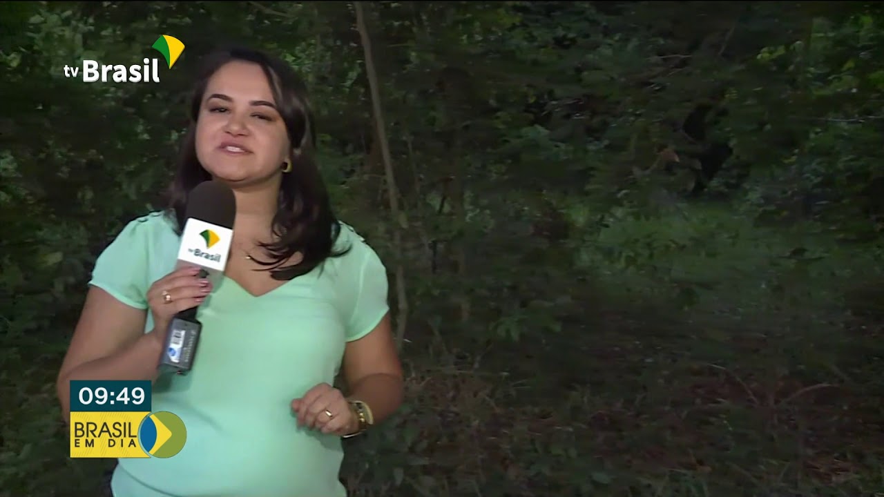 Conhecimento ind&iacute;gena na preven&ccedil;&atilde;o aos inc&ecirc;ndios &eacute; tema de confer&ecirc;ncia