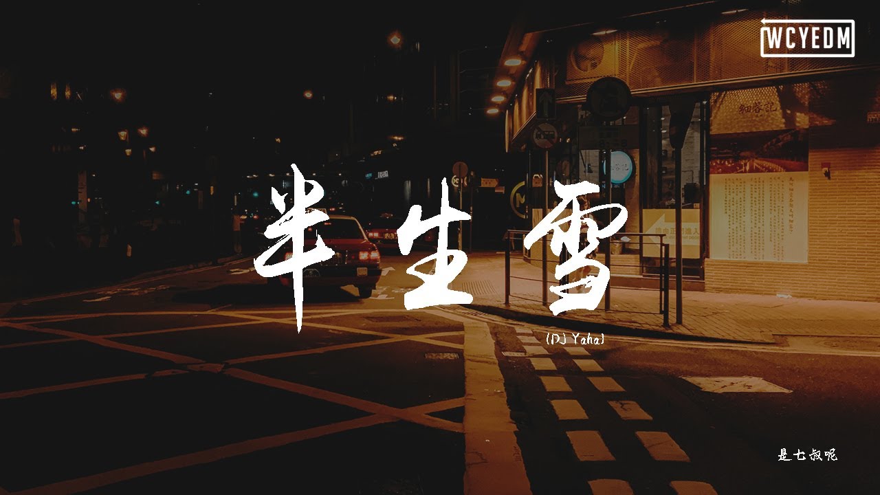 是七叔呢 - 半生雪 (DJ Yaha)【動態歌詞/pīn yīn gē cí】