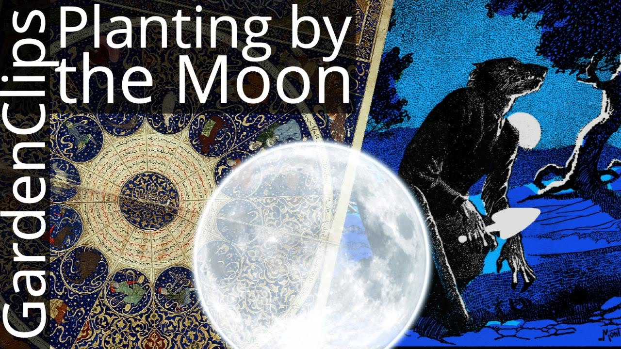 Gardening by Moon Phases - An Agnostic look at Planting by the Moon and Astrological Signs